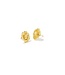 Kendra Scott Brielle stud earrings gold metal