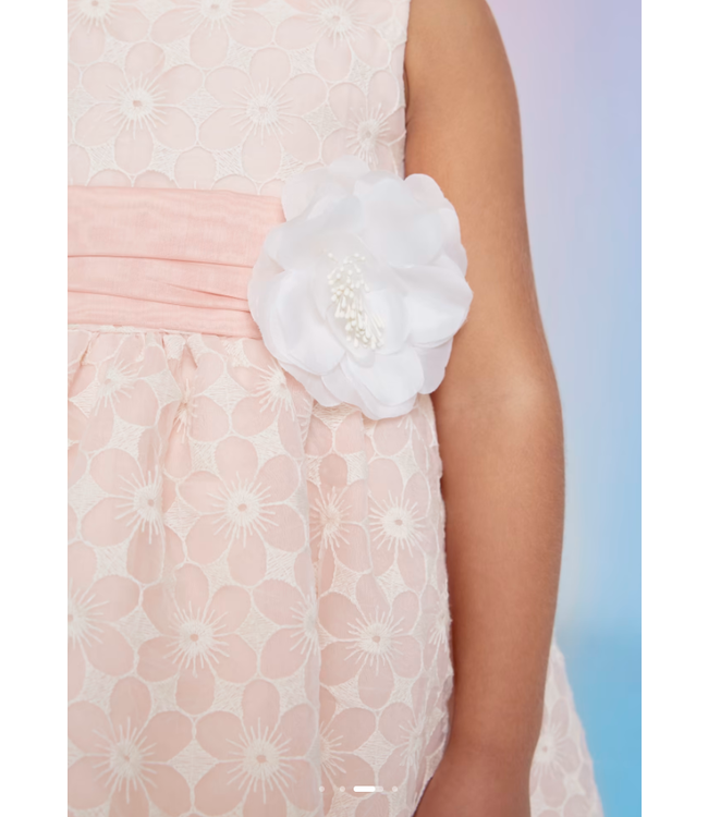 Abel & Lula Embroidered Organza Dress Girl -size 4