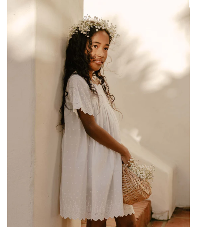 Noralee Eleanor Dress -size 6