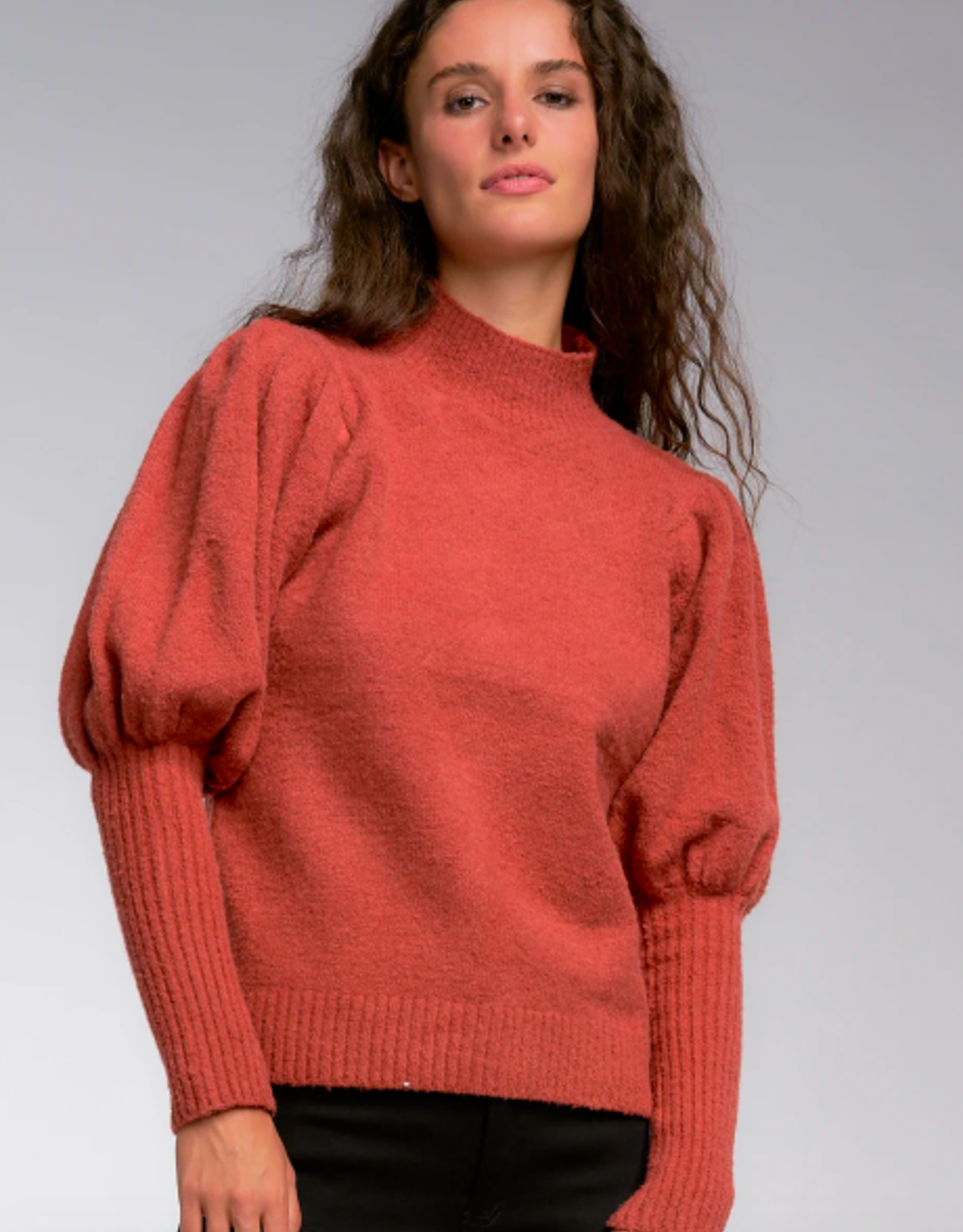 Elan Elan Allison Puff Sleeve Sweater
