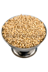 2-Row 50 Lb (Brewer's Malt)