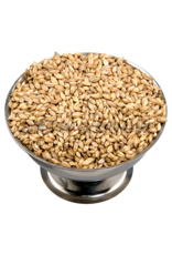 6-Row Avangard 55lb 6-Row Avangard 55lb