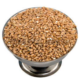 Red Wheat Briess Oz