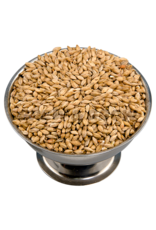 Ale Malt Swaen (Replaced Belgian Pale Dingemans) 55 Lb