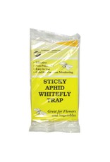 Seabright Sticky Whitefly Trap 5/Pack