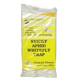 Seabright Sticky Whitefly Trap 5/Pack