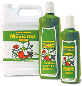 Maxicrop Maxicrop Liquid Seaweed - 1L