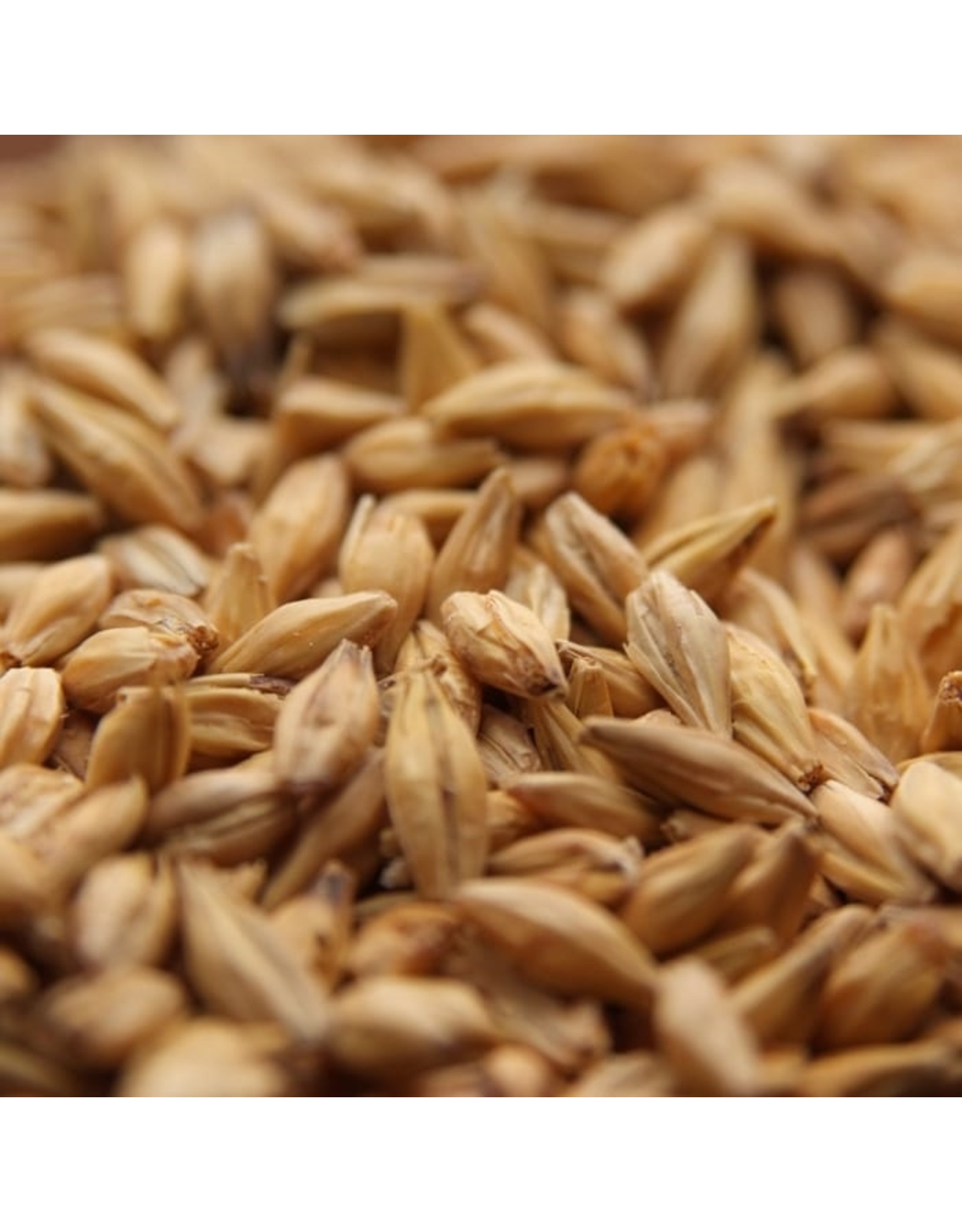 Acidulated Malt Ireks Oz