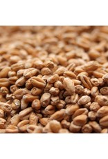 German Wheat Avangard Oz
