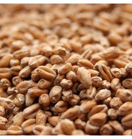 German Wheat Avangard Oz