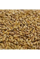 Biscuit BlackSwaen (Replaced Dingemans) Oz