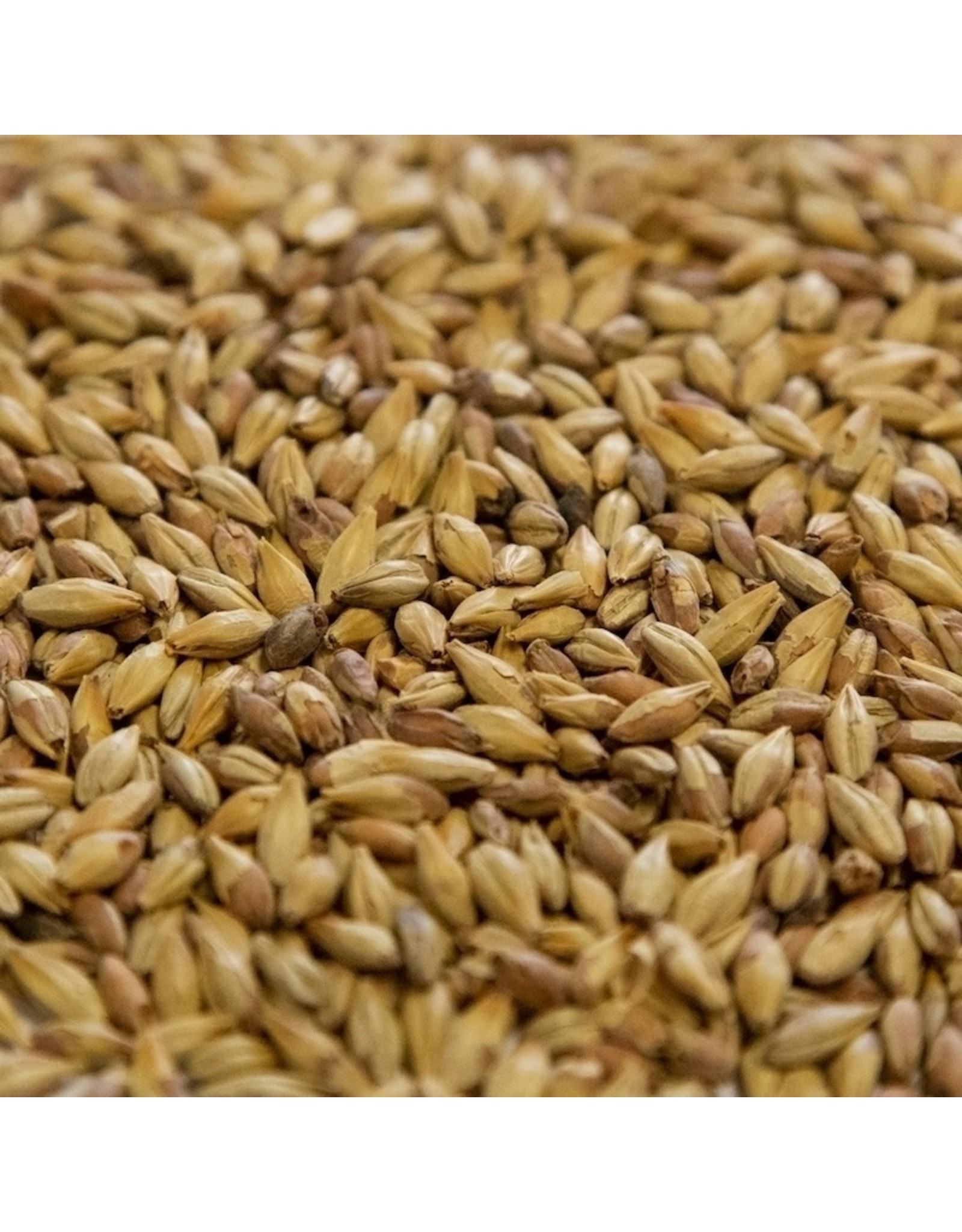 Biscuit BlackSwaen (Replaced Dingemans) Oz