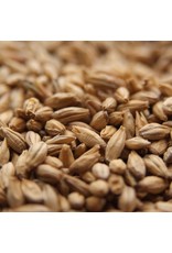Ale Malt Swaen (Replaced Belgian Pale Dingemans) 55 Lb
