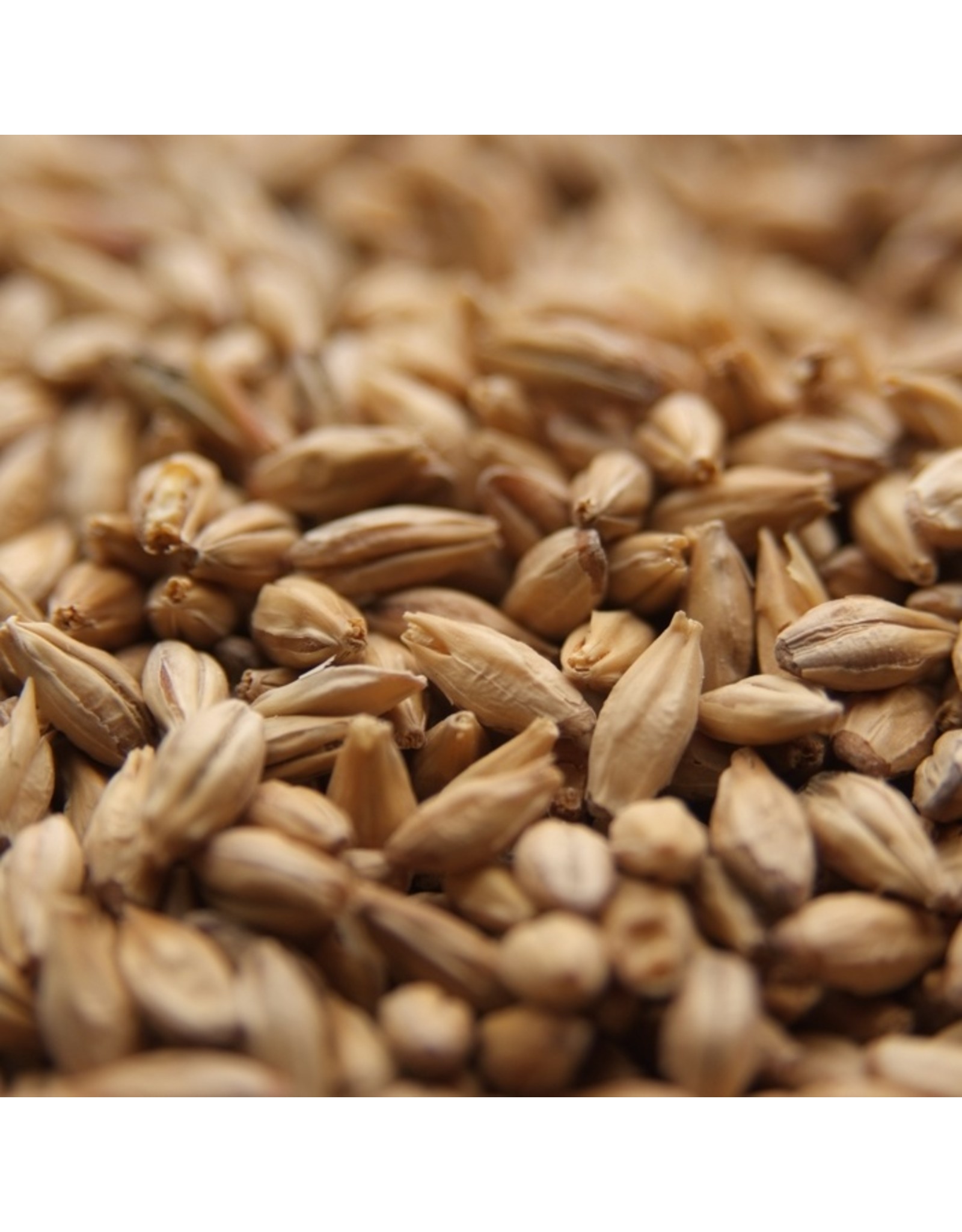 Ale Malt Swaen (Replaced Belgian Pale Dingemans) 55 Lb