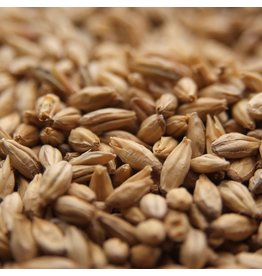 Ale Malt Swaen (Replaced Belgian Pale Dingemans) 55 Lb