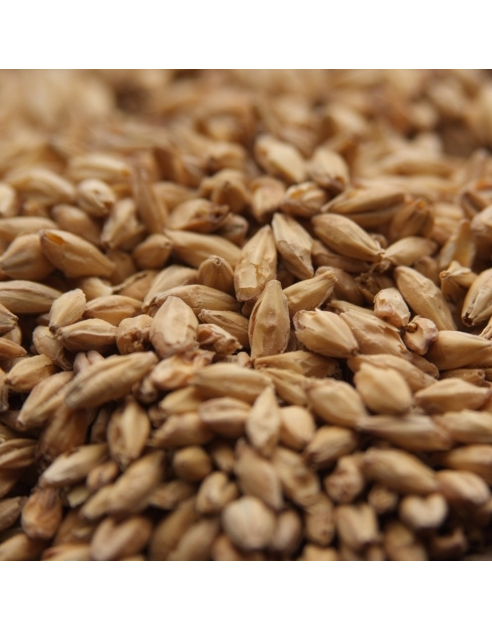 Briess Pale Ale Malt Briess 55 Lb