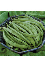 Seed Savers Bean - Bountiful (organic)