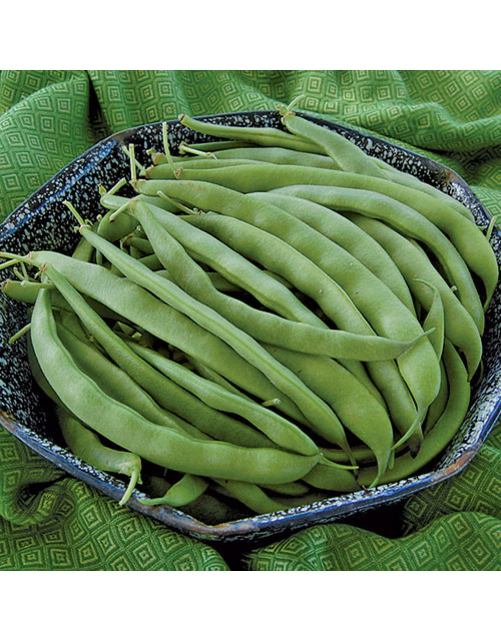 Seed Savers Bean - Bountiful (organic)