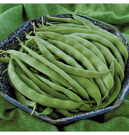 Seed Savers Bean - Bountiful (organic)