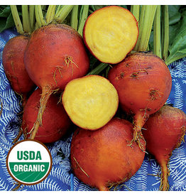 Seed Savers Beet - Burpee's Golden (organic)