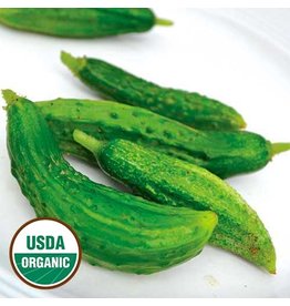 Seed Savers Cucumber - Parisian Pickling (organic)