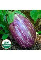 Seed Savers Eggplant - Listada de Gandia (organic)