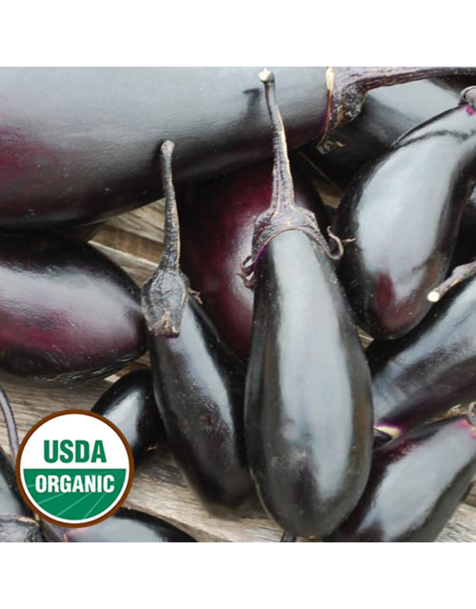 Seed Savers Eggplant - Purple Pickling (organic)