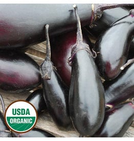 Seed Savers Eggplant - Purple Pickling (organic)
