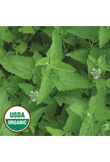 Seed Savers Herb - Catnip (organic)