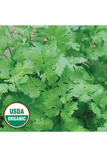 Seed Savers Herb - Cilantro (organic)