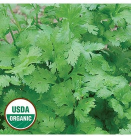 Seed Savers Herb - Cilantro (organic)