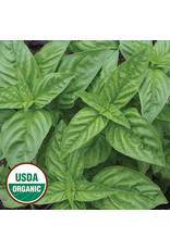 Seed Savers Herb - Genovese Basil (organic)