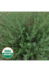 Seed Savers Herb - Thyme (organic)