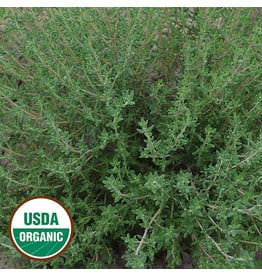 Seed Savers Herb - Thyme (organic)
