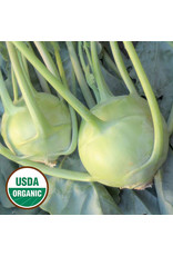 Seed Savers Kohlrabi - White Vienna (organic)