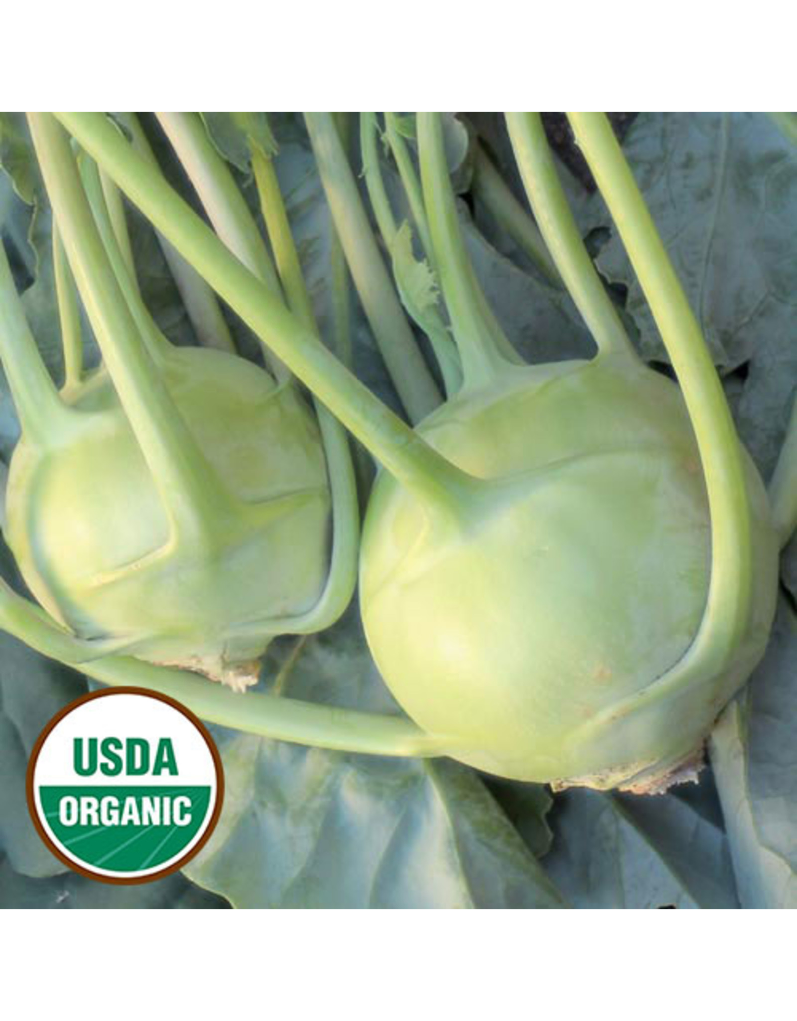 Seed Savers Kohlrabi - White Vienna (organic)