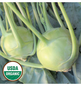 Seed Savers Kohlrabi - White Vienna (organic)