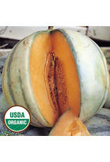Seed Savers Melon - Charentais (organic)