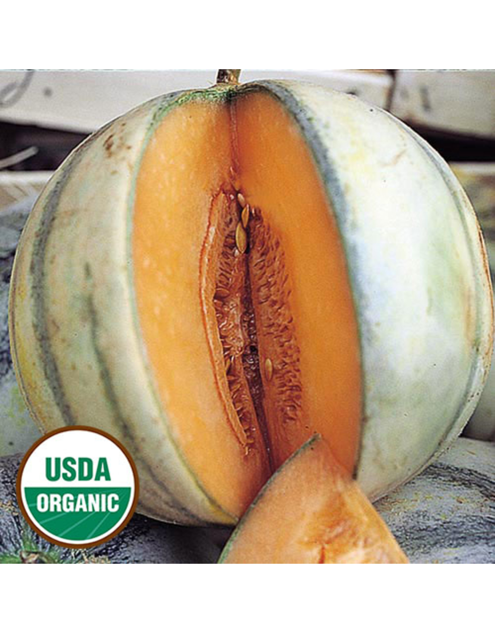 Seed Savers Melon - Charentais (organic)