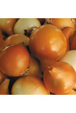 Seed Savers Onion - Yellow of Parma