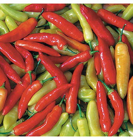 Seed Savers Pepper - Aji Cristal