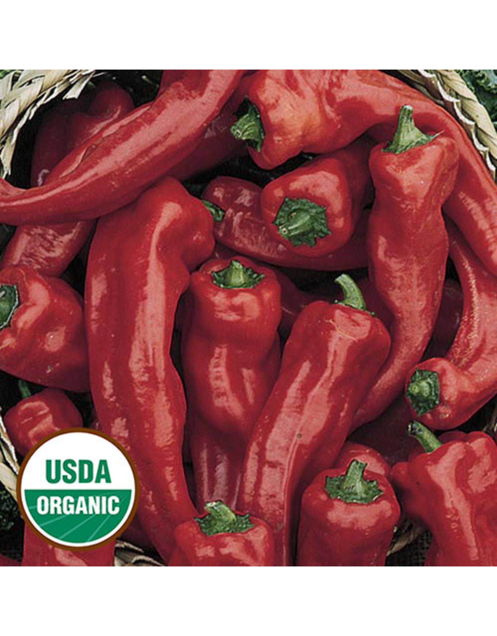 Seed Savers Pepper - Georgia Flame (organic)