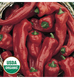 Seed Savers Pepper - Georgia Flame (organic)