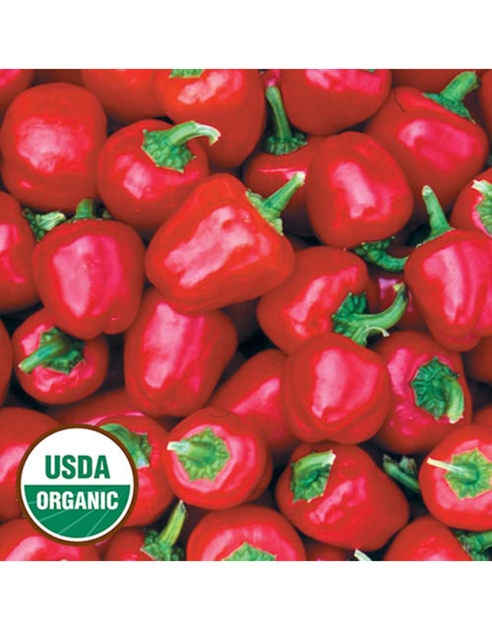 Seed Savers Pepper - Miniature Red Bell (organic)