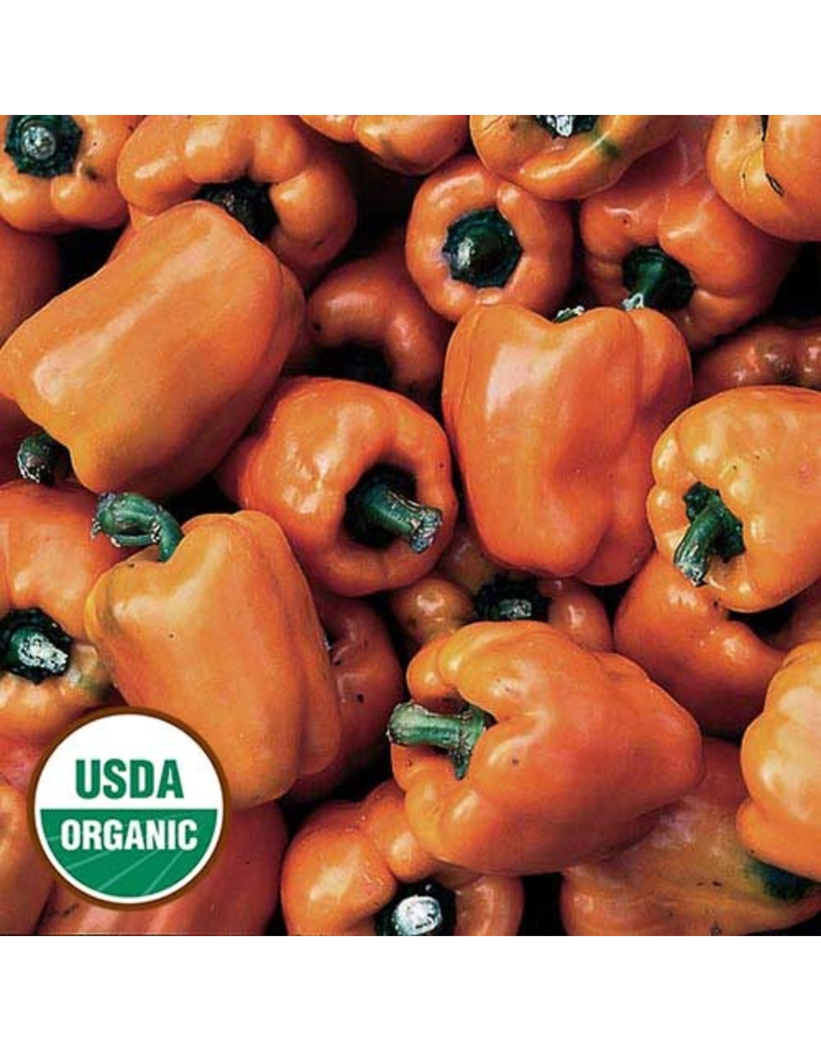 Seed Savers Pepper - Orange Bell