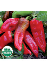 Seed Savers Pepper - Tolli's Sweet Italian (organic)