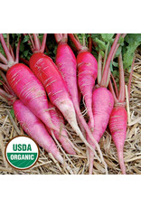 Seed Savers Radish - China Rose