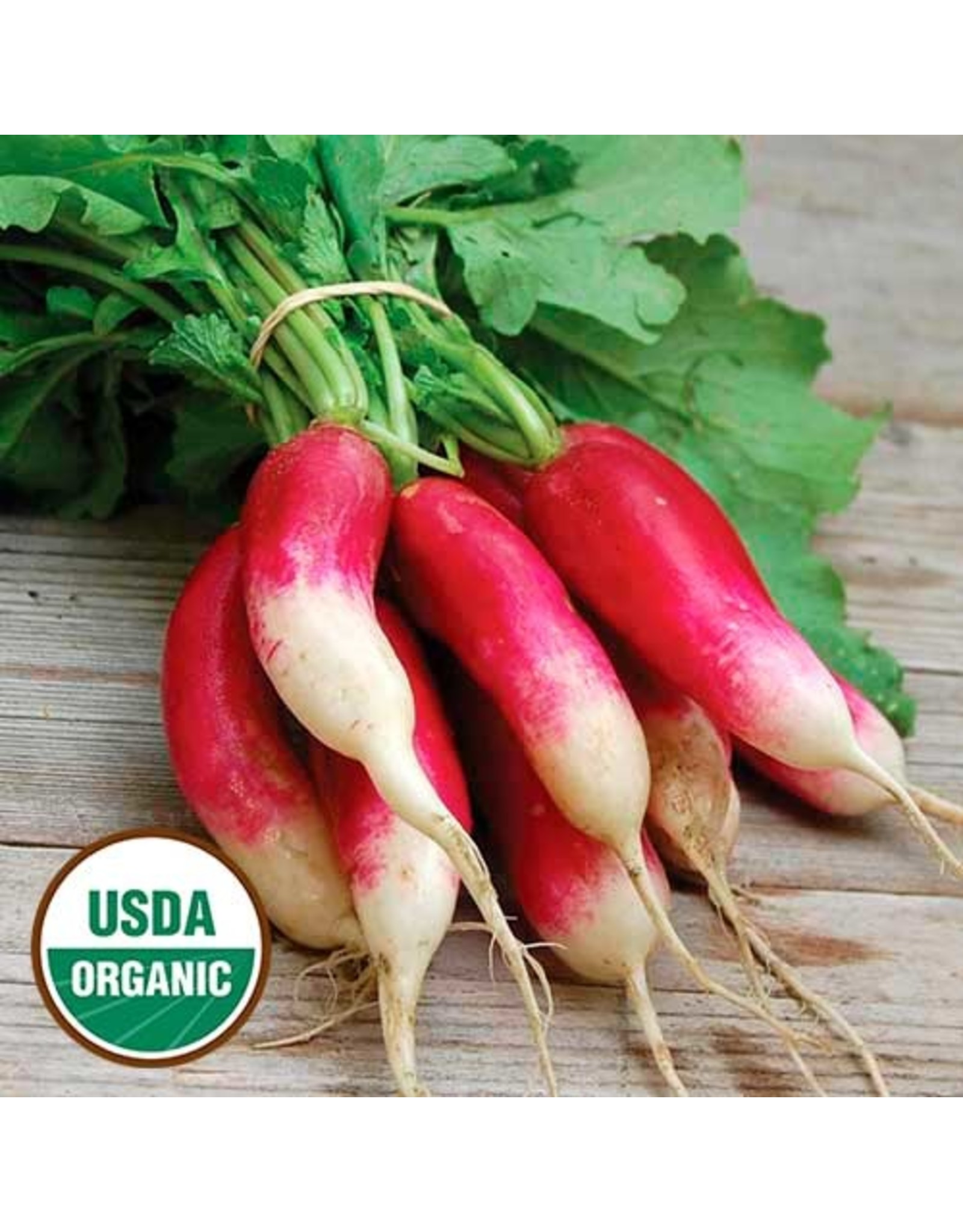 Seed Savers Radish - French Breakfast (organic)