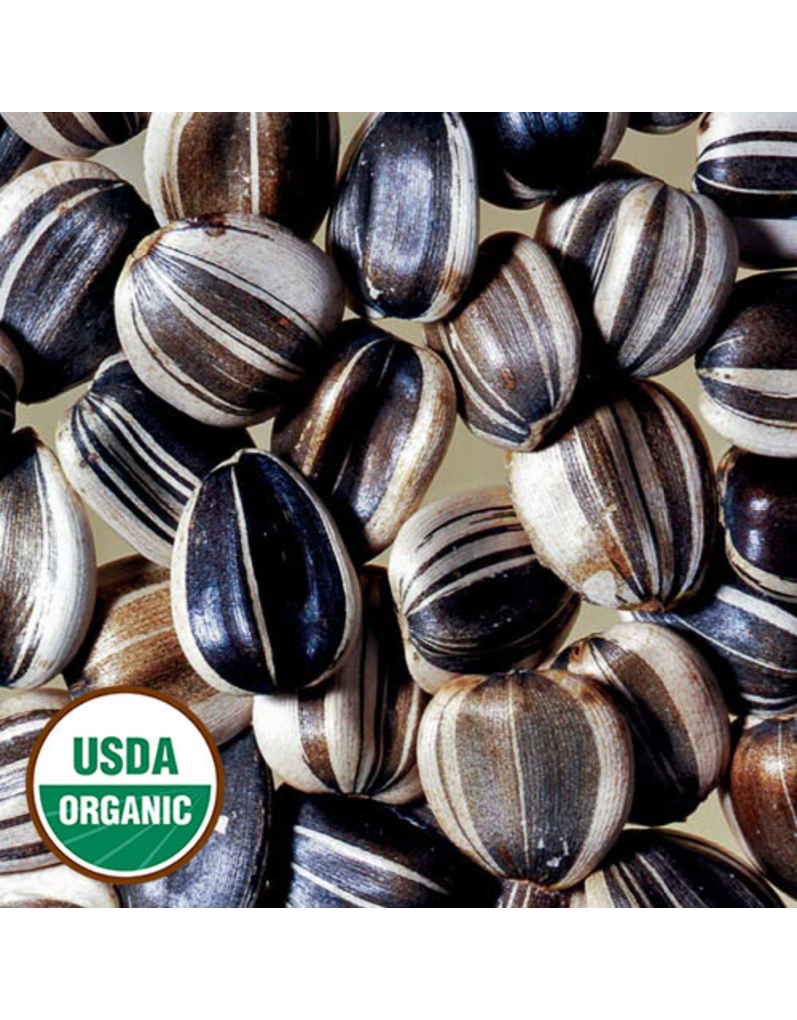 Seed Savers Sunflower - Titan (organic)