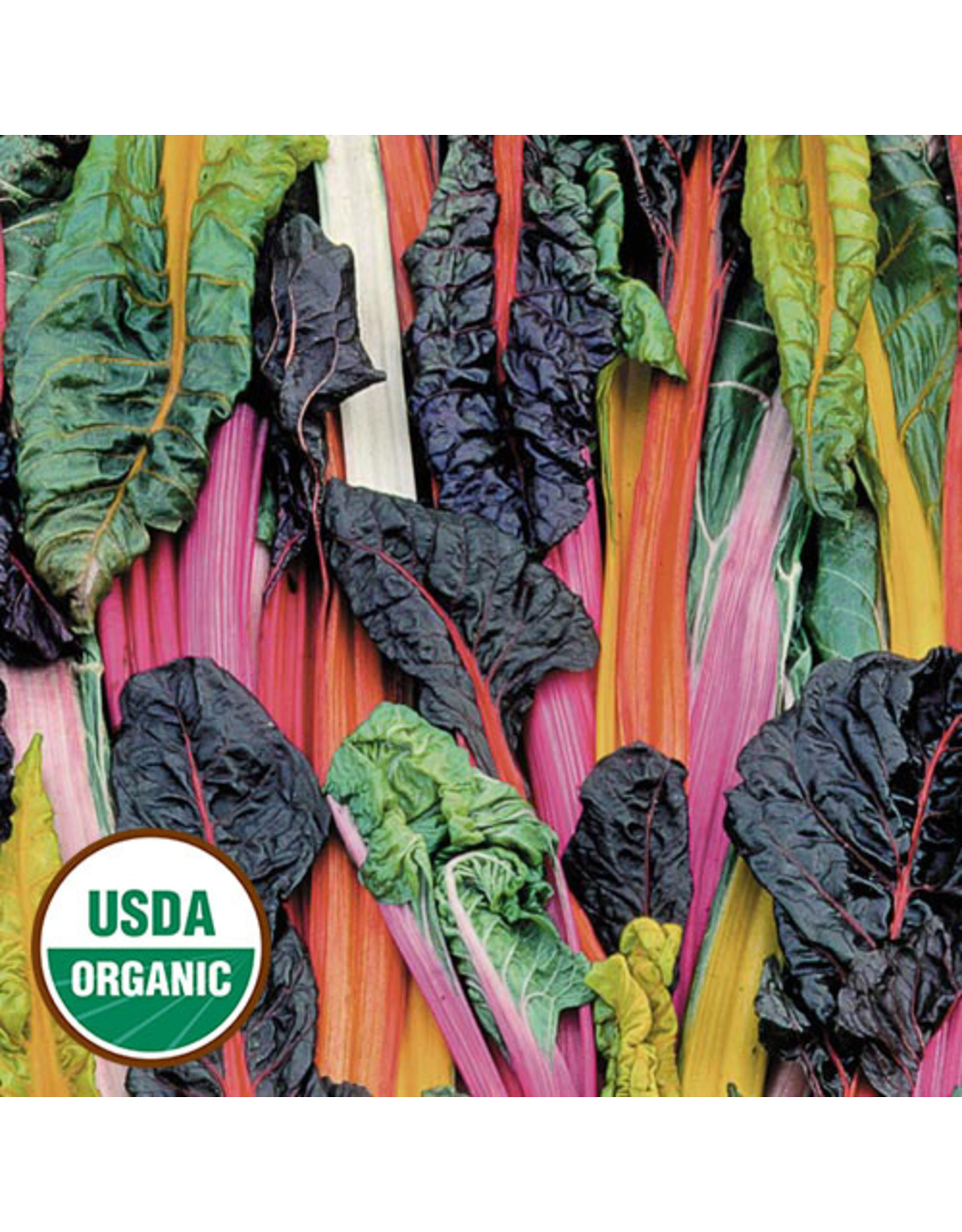 Seed Savers Swiss Chard - Five Color Silverbeet (organic)